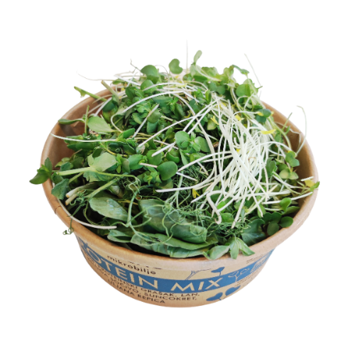 Detailed close-up view of the open Protein Mix packaging. The dense texture of crunchy sunflower leaves and pea microgreens is visible, highlighting volume and freshness.
