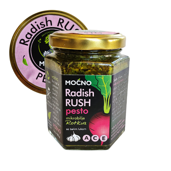 Centralni prikaz šestougaone staklene tegle Radish Rush pesto namaza. Jasno vidljiva crna etiketa sa ilustracijom rotkve i zlatni poklopac sa ljubičastom "Radish Rush" nalepnicom.
