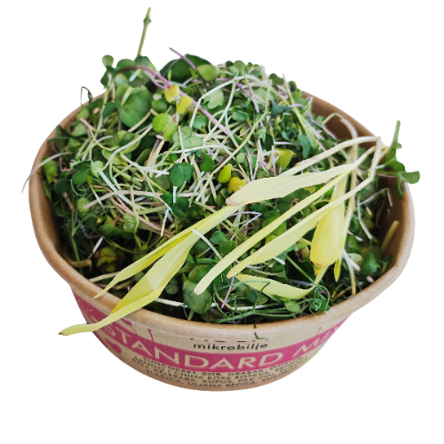 Krupan plan otvorenog pakovanja Standard Mix-a. Vidi se gusta mešavina koja sadrži mikrobilje rotkve, graška, suncokreta i kupusa, bogata vitaminima C, E i K.