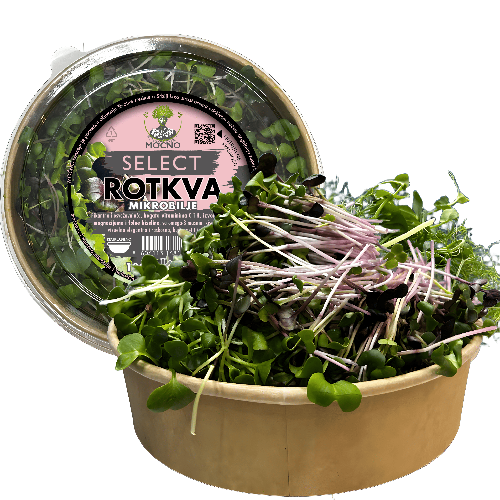 MOĆNO Select - Rotkva