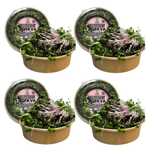 MOĆNO Select - Rotkva