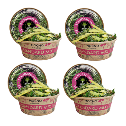 MOĆNO Standard Mix
