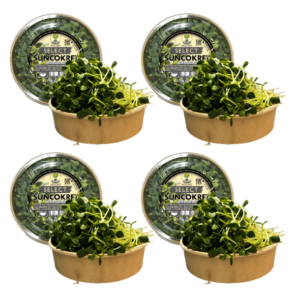 MOĆNO Select - Suncokret