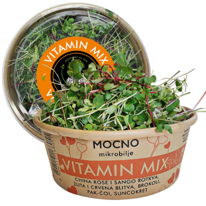 MOĆNO Vitamin Mix