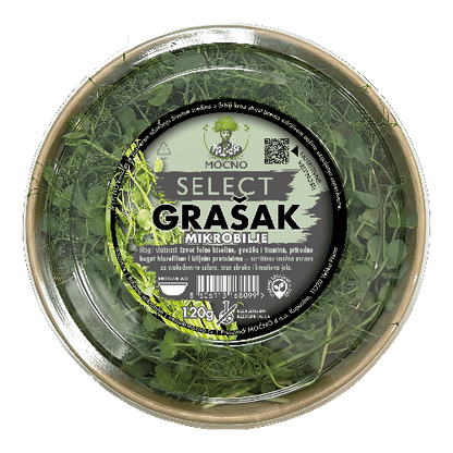 Detaljan prikaz svežeg mikrobilja graška brenda MOĆNO, poznatog po slatkom ukusu mladog graška i hrskavim zelenim izdancima.