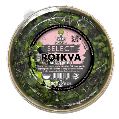 Sveže ubrano mikrobilje rotkve brenda MOĆNO, poznato po svojim detoksikacijskim svojstvima i visokoj koncentraciji antioksidanata.