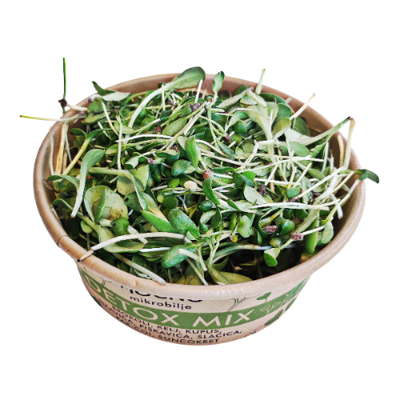 Detailed close-up of the open Detox Mix packaging. The focus is on the variety of textures of broccoli, kale, and cabbage microgreens, which are natural sources of antioxidants and chlorophyll for body purification.