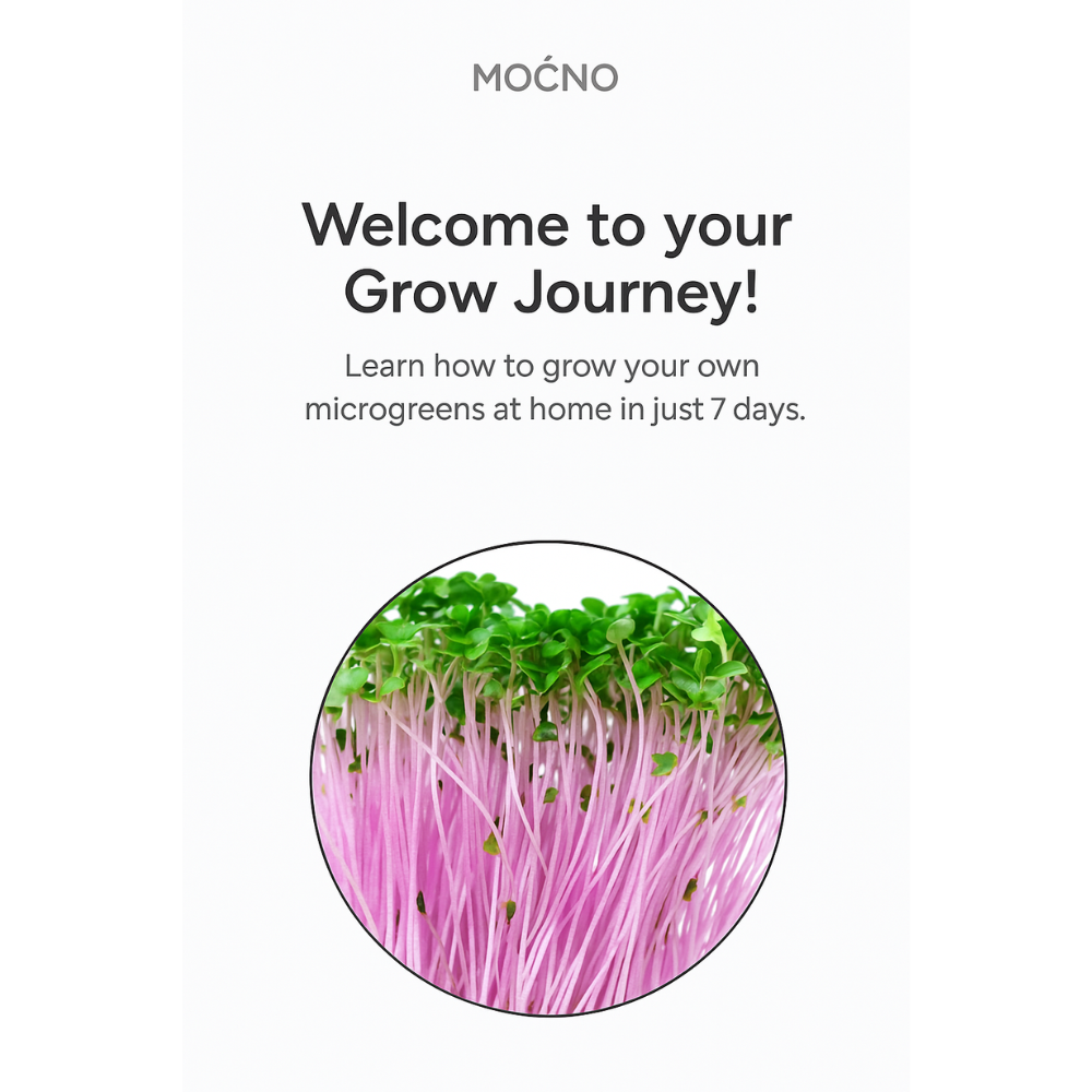 Prikaz MOĆNO digitalne platforme "Welcome to your Grow Journey" koja omogućava gejmifikovano učenje i virtuelni uzgoj mikrobilja.