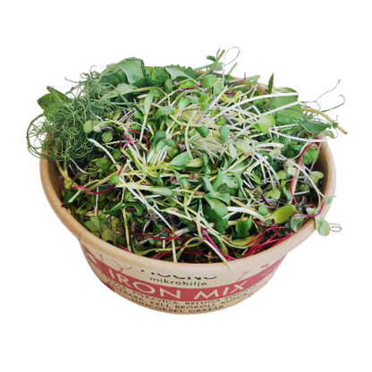 Detaljan krupan plan otvorene posude Iron Mix-a. Vidi se gusta tekstura mikrobilja cvekle, spanaća, kelja i brokolija, sa karakterističnim crvenim i zelenim nijansama.