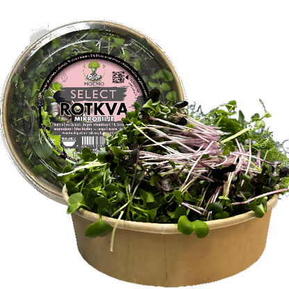 MOĆNO Select Rotkva mikrobilje u ekološkoj posudi – bogat izvor vitamina C i specifičnog pikantnog ukusa za gurmanska jela.