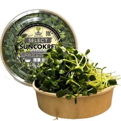 MOĆNO Select Suncokret mikrobilje u održivom pakovanju – krupni, hrskavi izdanci bogati proteinima i omega masnim kiselinama.