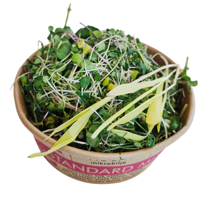 Krupan plan otvorenog pakovanja Standard Mix-a. Vidi se gusta mešavina koja sadrži mikrobilje rotkve, graška, suncokreta i kupusa, bogata vitaminima C, E i K.