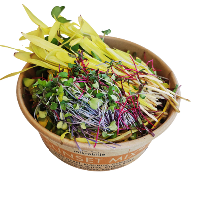 Detailed close-up of the open Sunset Mix container. The contrast between the bright yellow corn and sunflower shoots and the intense red tones of beetroot and sango radish is clearly visible.