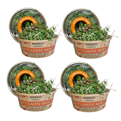View of four Vitamin Mix packages in a row. Visual confirmation of the availability of this nutritional bomb that acts as a natural shield for your immunity. The message is about the monthly subscription where the user receives one box of microgreens weekly, with our delivery.