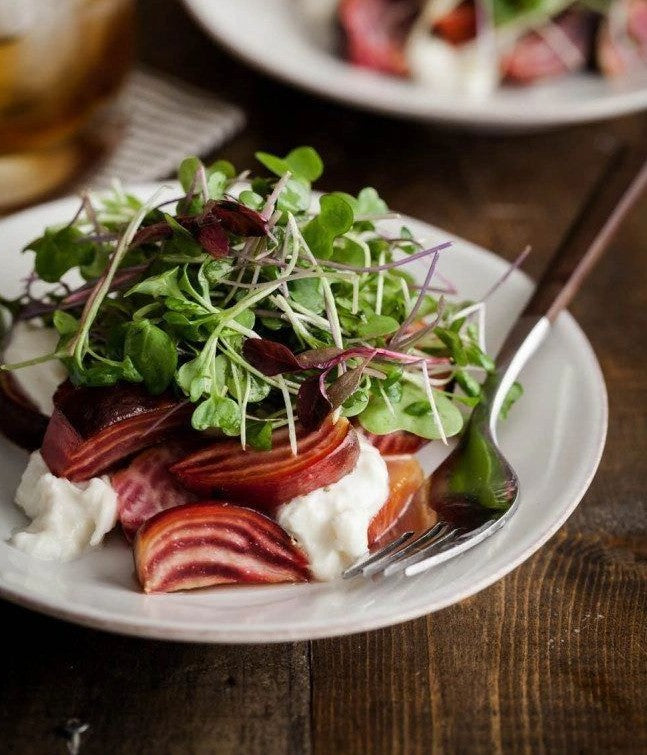 Gourmet salata sa pečenom cveklom, krem sirom i bogatim prstohvatom svežeg mikrobilja kao završnim detaljem vrhunskog kuvara.