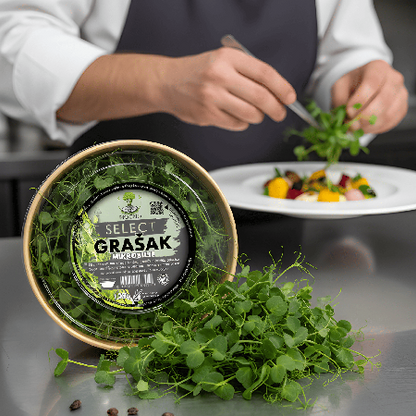 Šef kuhinje pažljivo dekoriše gurmansko jelo koristeći sveže izdanke MOĆNO mikrobilja graška, naglašavajući premium kvalitet proizvoda.